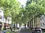 7000 Eichen – Stadtverwaldung statt Stadtverwaltung, eine soziale Plastik von Joseph Beuys, gestartet 1982 auf der documenta 7 in Kassel, Hessen, Deut...