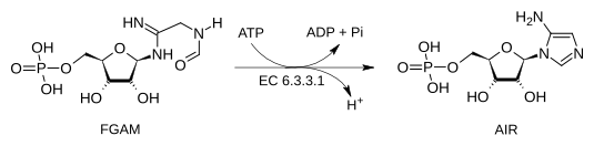 File:AIR Synthetase.svg