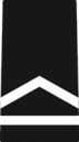 JROTC армиясының жеке бірінші дәрежелі айырым белгілері