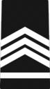 AJROTC Staff Sergeant Insignien