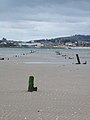 Anti-Glider posts on Burntisland beach - geograph.org.uk - 783347.jpg