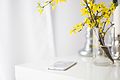 Apple-flowers-iphone-desk (23699855483).jpg