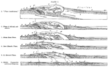 Argand (1916): Ricostruzione dell'evoluzione strutturale delle Alpi articolata in sezioni geologiche orientate approssimativamente Nord-ovest (sinistra) - sud-est (destra) e con eta' decrescente dal basso verso l'alto