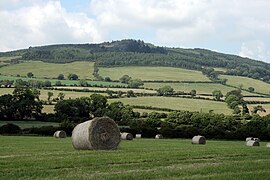 Arklow Hill - Ireland.jpg