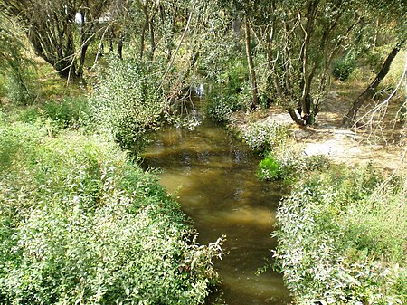 Arroyo de Viñuelas