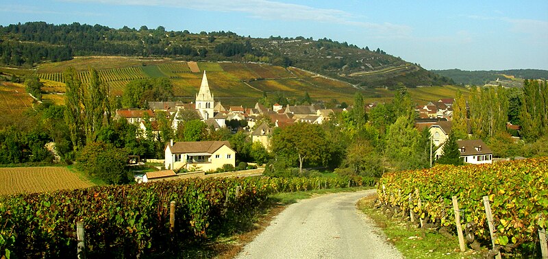 File:Auxey-Duresses paysage.jpg