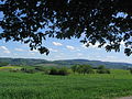 Während der Böllsteiner Gneis-Höhenzug (links) die Buntsandstein-Formation verdeckt, ist diese südlich davon (rechts) im Landschaftsbild des Gersprenztals (Heidelberg, Morsberg usw.) hinter den Gneis- bzw. Granitoid-Hügeln als Stufe deutlich erkennbar.