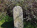 wikimedia_commons=File:BB25 Boundary Stone, Barnhorn.jpg