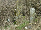 Two stones. One of 60 supplied by Robert Burchell to the Corporation of Hastings (CH), made with York stone (1859). The other marking the Bexhill Borough (BB) with 63 stones (1902).