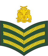 Staff sergeant(Barbados Regiment)[20]