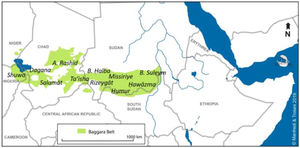 The majority of Baggara live in Chad and the Sudan's Darfur region, and may seasonally migrate to South Sudan, Central African Republic and Niger. Baggara belt.png