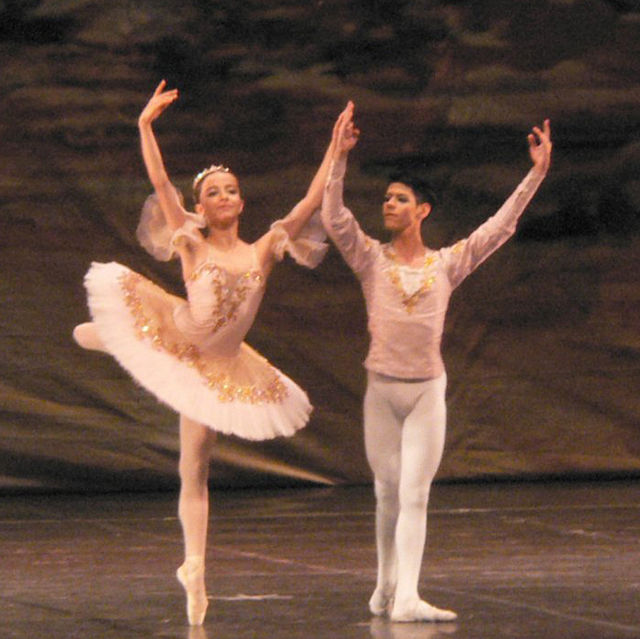 Ballets du Bolshoï