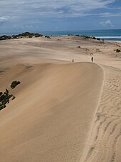 Aerial photography of people walking along the crest of a massive sand dune with sea visible beyond