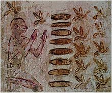 Illustration of an Egyptian honey harvest in the sun temple of Niuserre, c. 25th-century BCE Beekeepingaegypt.jpg
