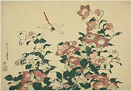 Bell-flower and Dragonfly (桔梗に蜻蛉 Kikyō ni tonbo)