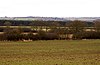 Bernwood Meadows - geograph.org.uk - 1732974.jpg