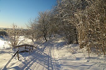 Skidspår spåras vid snörika vintrar.