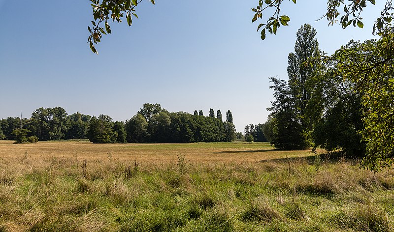 File:Billigheim Ingenheim Pfalzgrafenmühle 001 2018 08 03.jpg