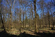 Impressionen aus dem Biospärenreservat Rhön an der hessisch-thüringischen Landesgrenze nahe Frankenheim/Rhön am Parkplatz "Westliches Rhönvorland"