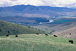 Thumbnail for Montana valley and foothill grasslands