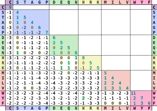 <span class="mw-page-title-main">BLOSUM</span> Bioinformatics tool