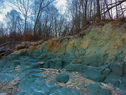 Blue clay outcrop (Estonia)