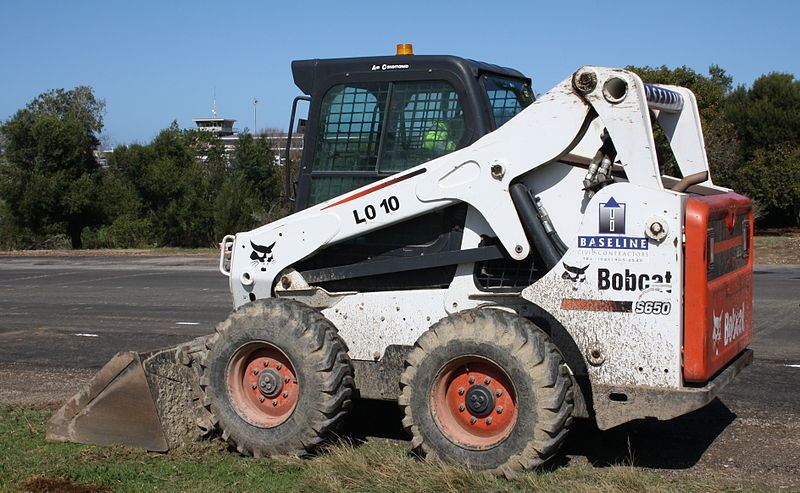 Bobcat - Wikipedia