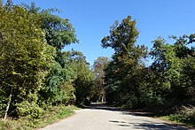 Illustrativt billede af artiklen Bois de Vincennes