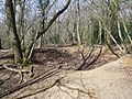 Second World War bomb crater in Joyden's Wood.