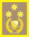 Bosnie-Herzégovine colonel général Insignia.svg