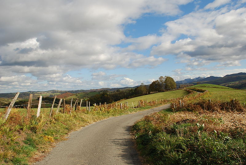 File:Bourreac 2010 11 15 novembre 12.JPG