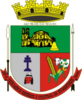 Coat of arms of São Miguel das Missões