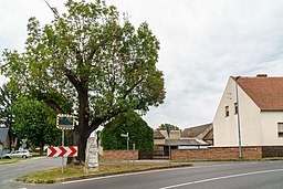 Neuzeller Straße in Guben