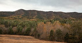 Brush Mountain, en la frontera entre Brush Mountain Wilderness y Brush Mountain East Wilderness, mirando al este desde Caldwell Fields.jpg