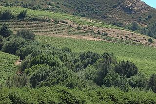 <span class="mw-page-title-main">Moon Mountain District Sonoma County</span> American Viticultural Area in California