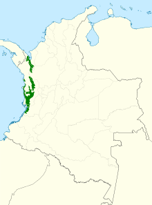 Bucco noanamae map.svg