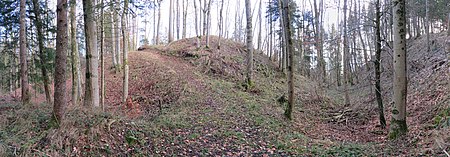 Burgstall Mindelzell West Pan