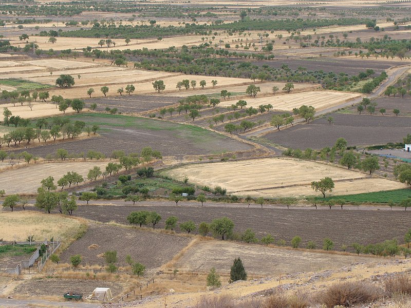 Plateau, PDF, Agricultura