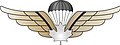 Canadian Forces parachoutist badge (with WHITE Leaf).jpg