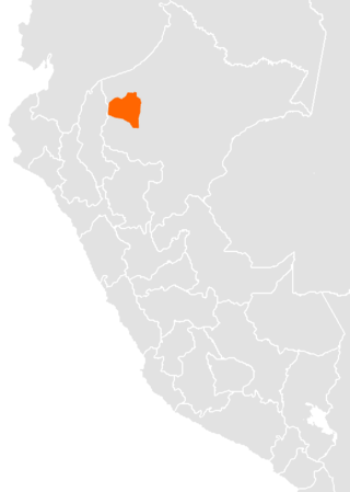 <span class="mw-page-title-main">Candoshi-Shapra language</span> Language isolate spoken in Peru