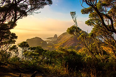 Cape schanck looking towards pulpit rock at dawn.jpg