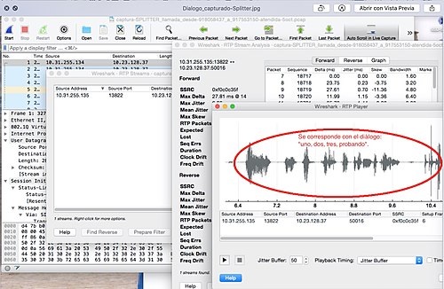 Acquisizione vocale digitalizzata-Wireshark.jpg