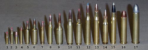 Rifle Bullet Caliber Size Chart