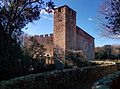 Castell de Cartellà (Sant Gregori)