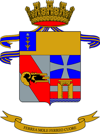 <span class="mw-page-title-main">32nd Tank Regiment (Italy)</span> Italian Army tank unit
