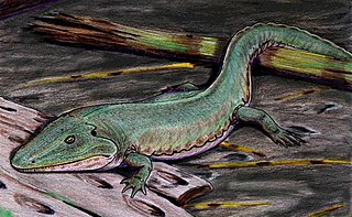 <span class="mw-page-title-main">Cochleosauridae</span> Extinct family of amphibians