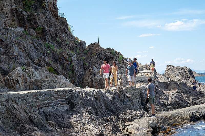 File:Collioure 1503 (42686986680).jpg