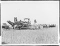 Combine harvester on a Van Nuys Ranch, ca.1890-1900 (CHS-1383).jpg