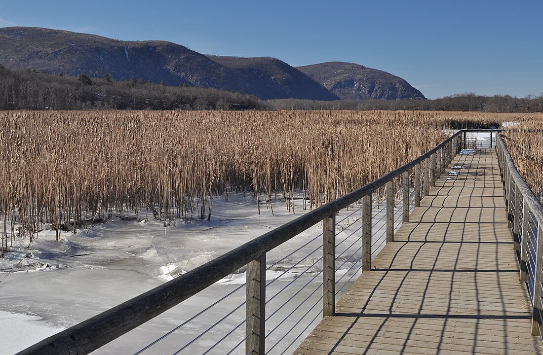 Constitution Marsh