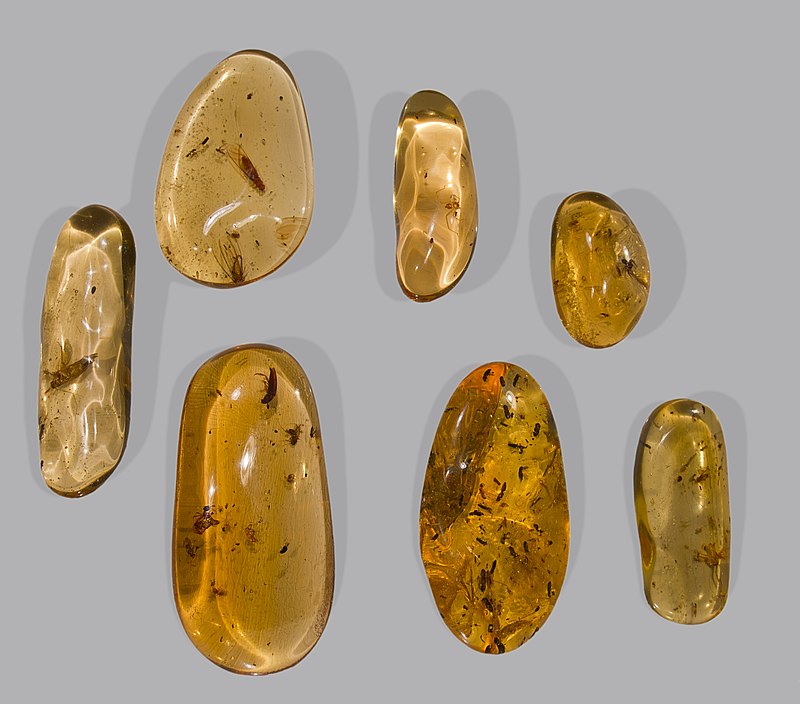 List of types of amber - Wikipedia